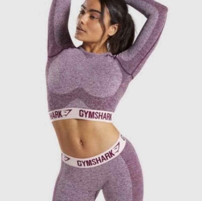 Flex Long Sleeve crop