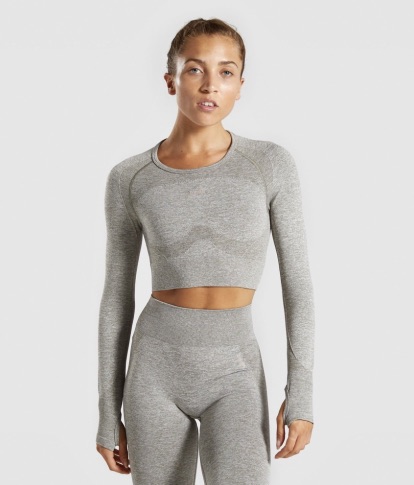 Flex Long Sleeve crop Top