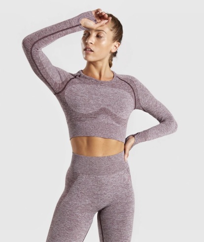 Flex Long Sleeve crop Top
