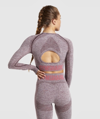 Flex Long Sleeve crop Top