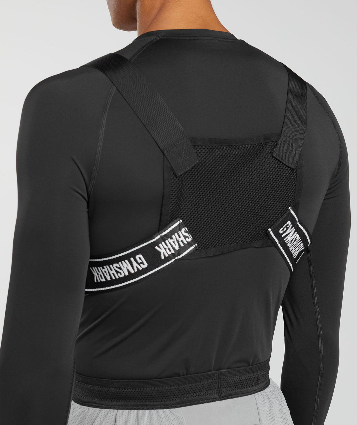 Chest Rig
