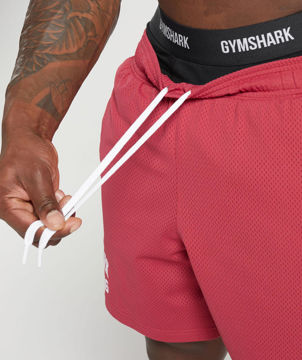 Lifting Mesh 7 Short