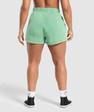 Collegiate Shadow Washed Shorts