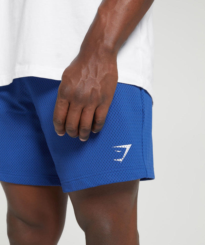 Lifting Mesh 7 Short