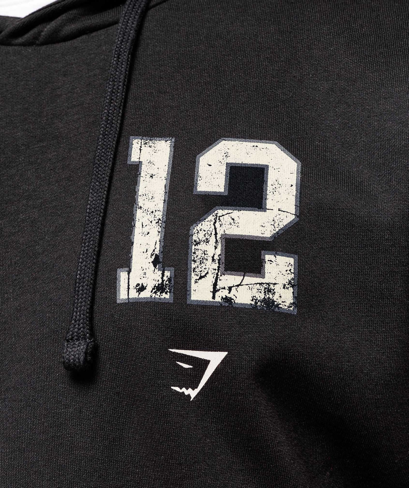 COLLEGIATE GRAPHIC HOODIE