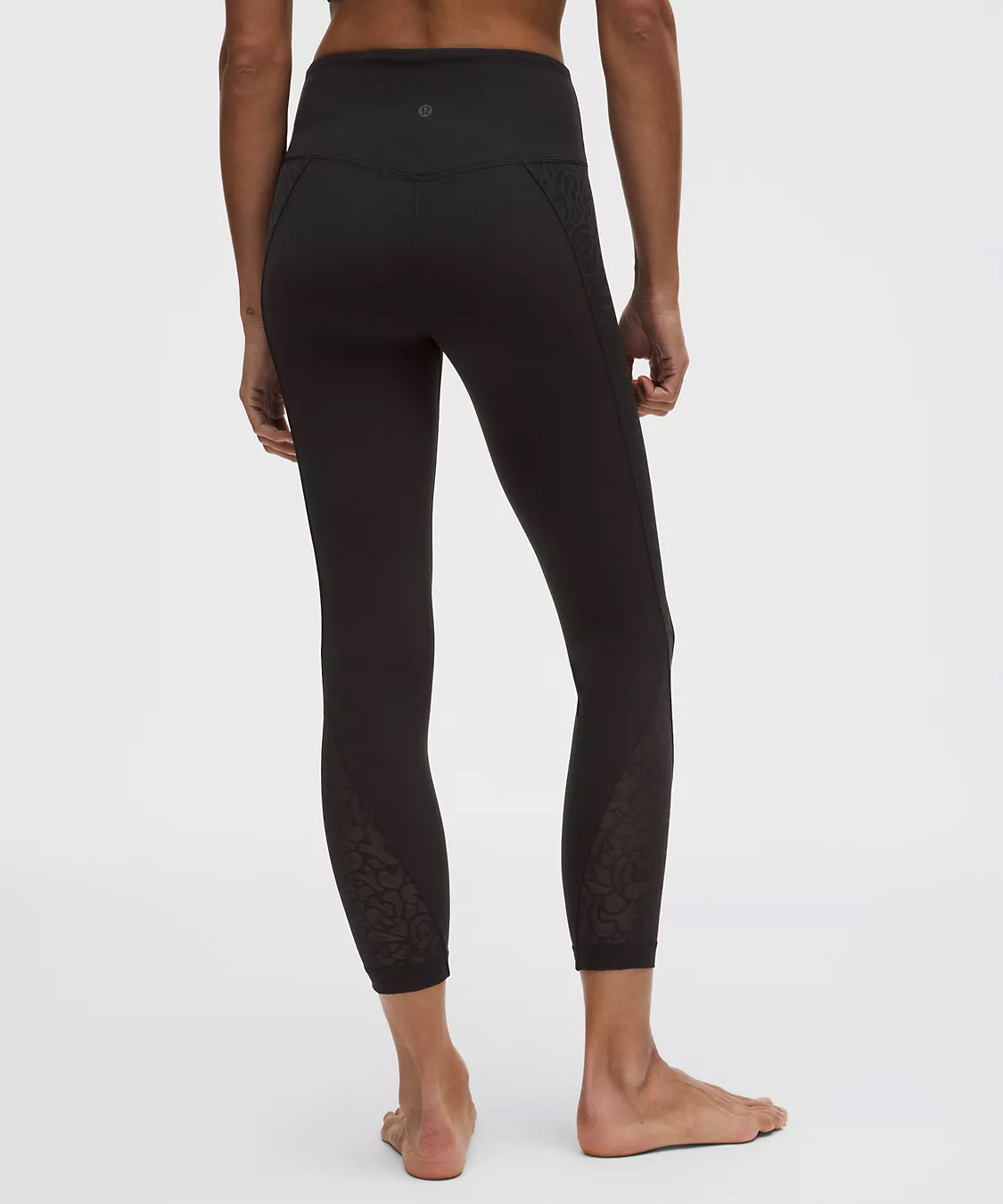 Paisley Lace Overlay Tight 25"