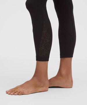 Paisley Lace Overlay Tight 25"