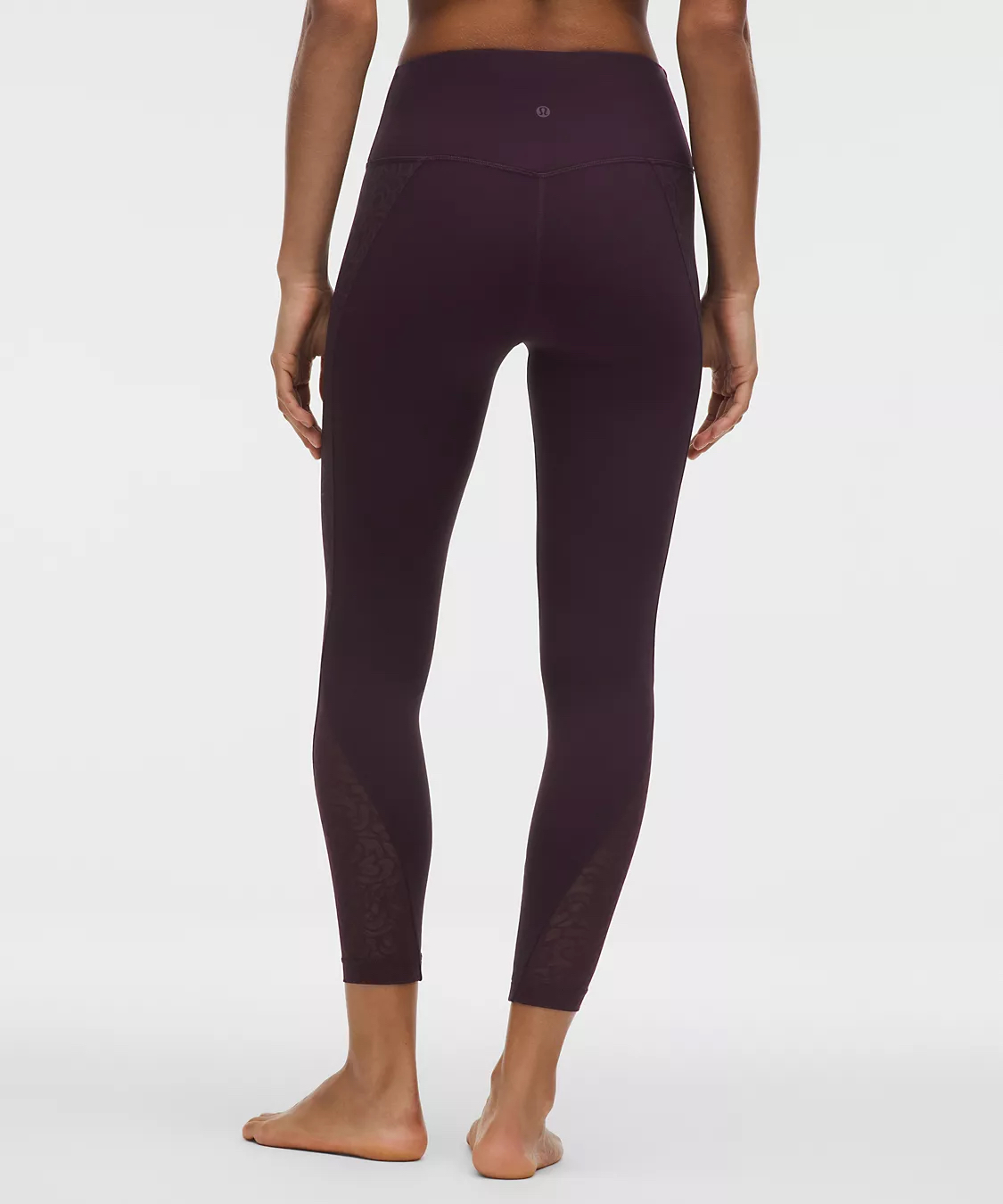 Paisley Lace Overlay Tight 25"