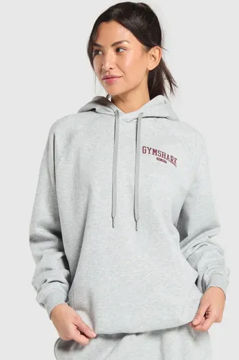 COLLEGIATE LIFESTYLE HOODIE