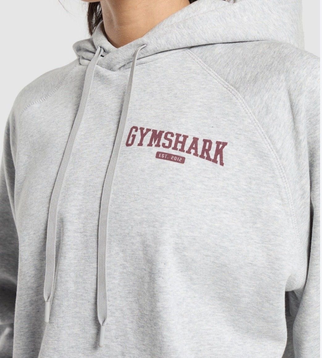 COLLEGIATE LIFESTYLE HOODIE