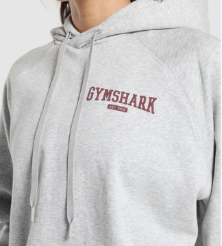 COLLEGIATE LIFESTYLE HOODIE